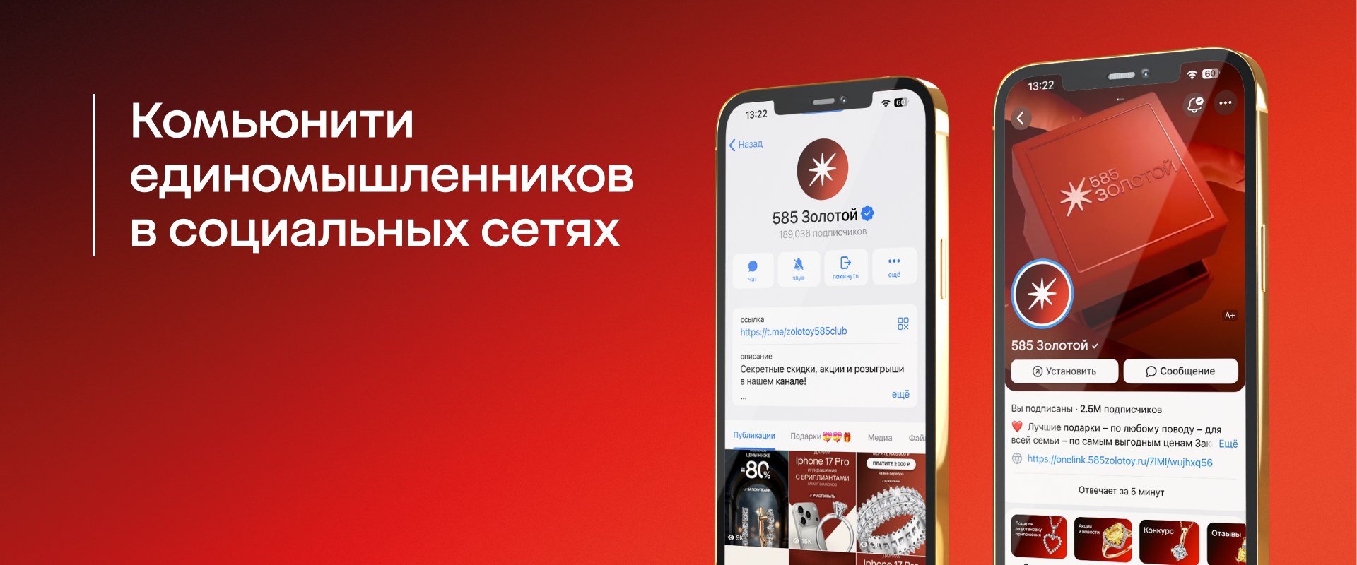 Комьюнити единомышленников в социальных сетях